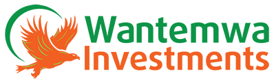 Wantemwa Investments